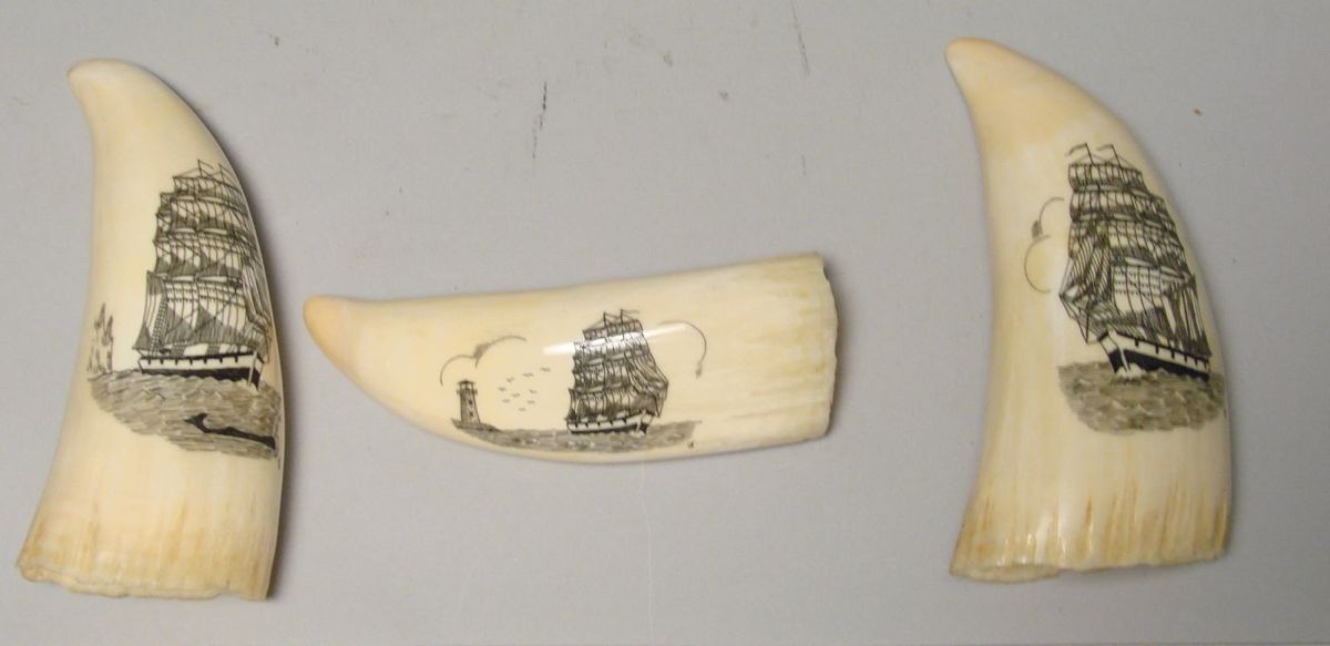 Appraisal: THREE SCRIMSHAW-DECORATED WHALE'S TEETH With contemporary ship decoration Lengths and