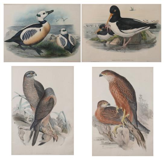 Appraisal: JOHN GOULD AND HENRY CONSTATINE RICHTER British - and -