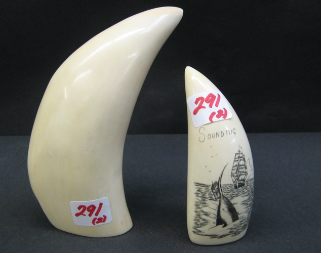 Appraisal: TWO IVORY WHALE'S TEETH the in long piece scrimshawed with