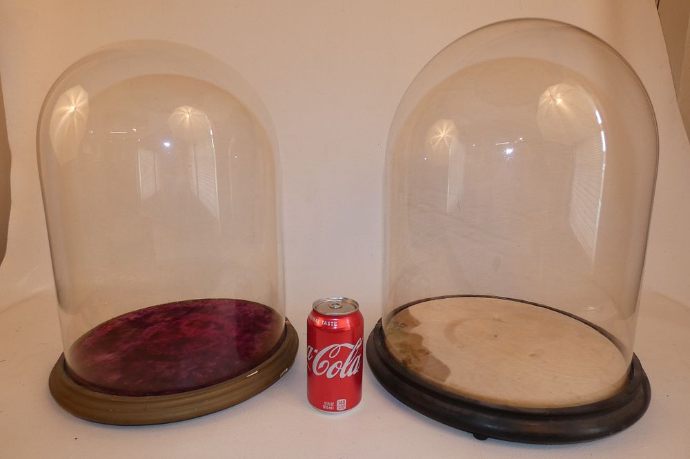 Appraisal: ANTIQUE GLASS DOME DISPLAYS Near pair of Victorian glass display