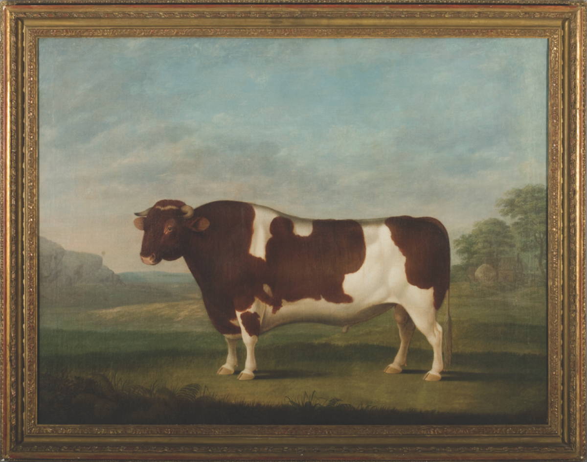 Appraisal: ENGLISH PRIZE BULL IN A LANDSCAPE NINETEENTH CENTURY Oil on