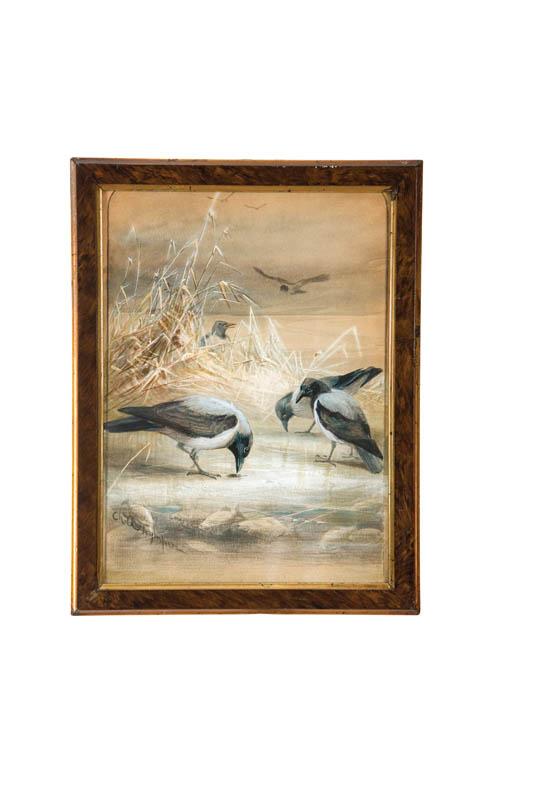 Appraisal: SHOREBIRDS BY CHARLES WHYMPER BRITISH - Gouache on paper signed