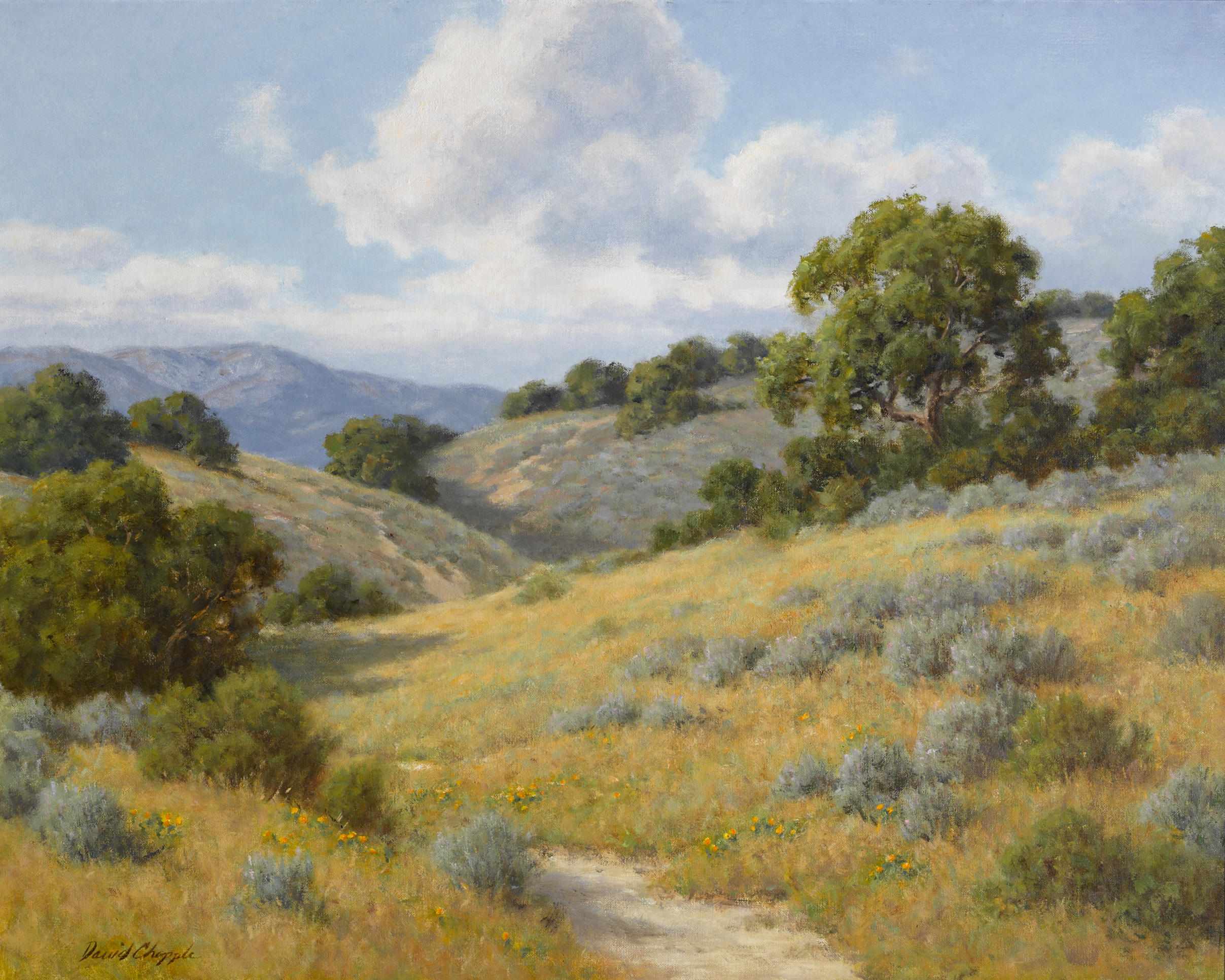 Appraisal: David Chapple American born May hillside signed 'David Chapple' lower