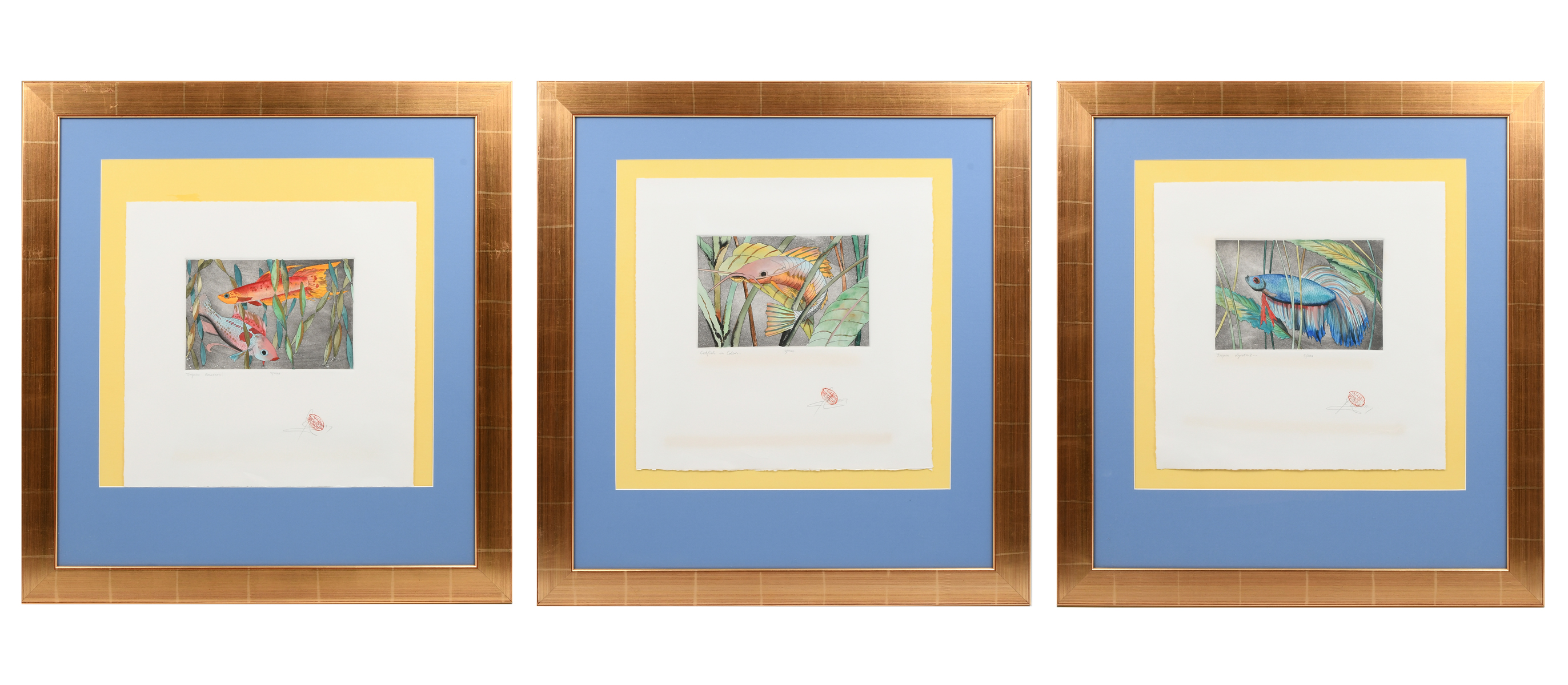 Appraisal: THREE VIBRANT TROPICAL FISH COLORED ETCHINGS Illegibly signed stamped and