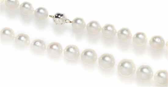 Appraisal: A Single Strand of Graduated White South Sea Pearls containing