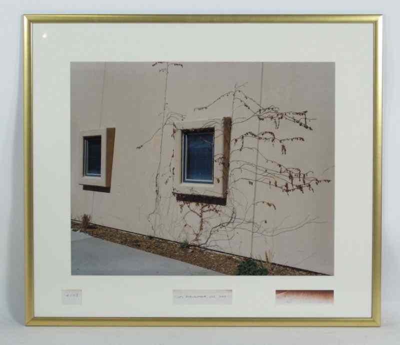 Appraisal: Gary Hart American ''Vines Albuquerque NM''color photograph signed and numbered