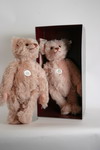 Appraisal: TOYS - Lot of two Steiff Teddy Rose replica and