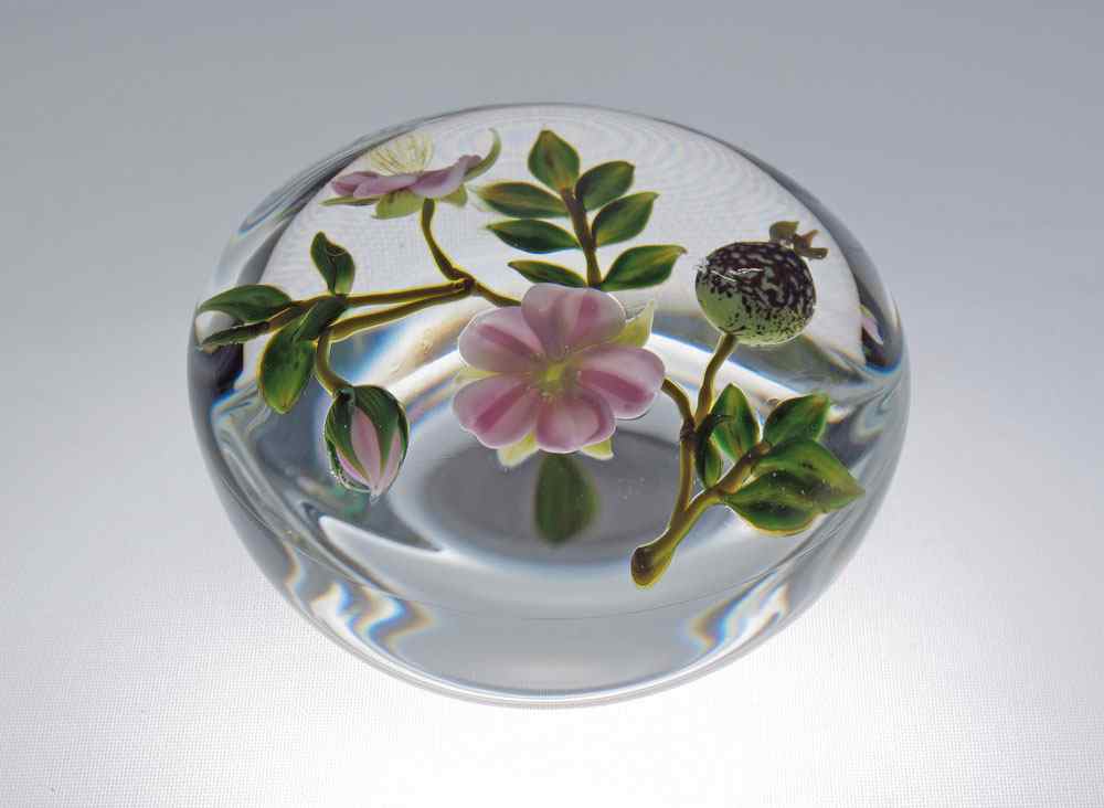 Appraisal: PAUL STANKARD WILD ROSE PAPERWEIGHT Signed with the S cane