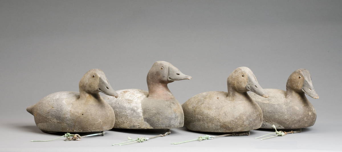 Appraisal: FOUR CARVED AND PAINTED CANVASBACK DECOYS PROBABLY CANADIAN CIRCA Including