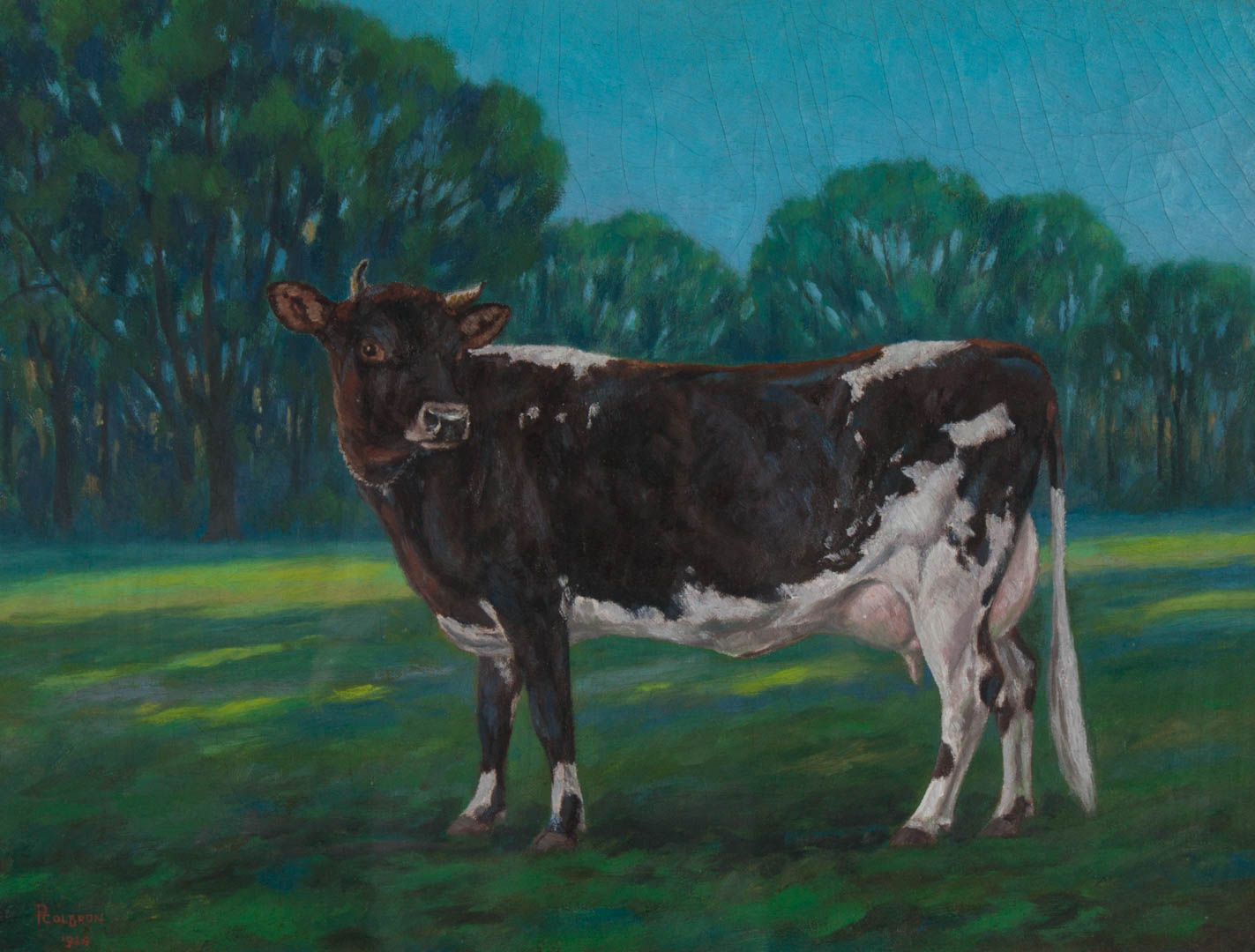 Appraisal: Paul Colbron Portrait of a Cow oil American - oil