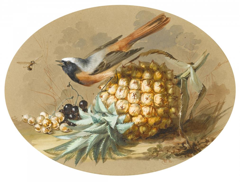 Appraisal: WILLIAM DUFFIELD - STILL LIFE WITH A BULLFINCH WASP PINEAPPLE