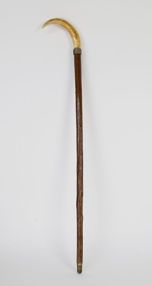 Appraisal: th Century Wild Boar Tusk Cane Exclusive on Bidsquare th