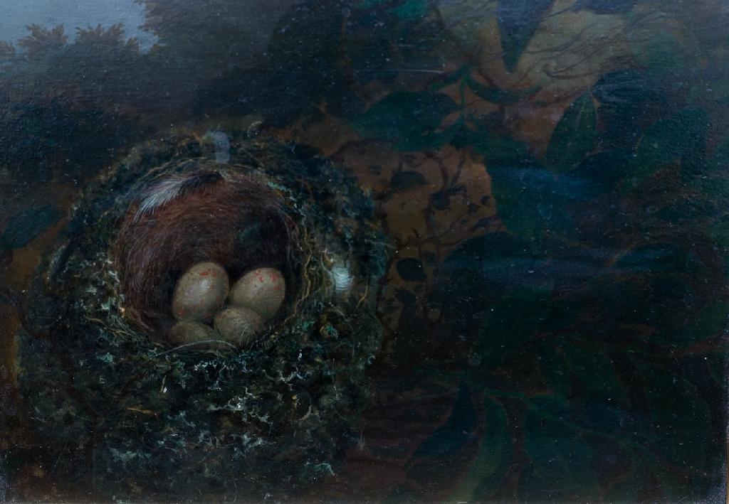 Appraisal: ENGLISH SCHOOL th CENTURY STILL LIFE OF A BIRD'S NEST