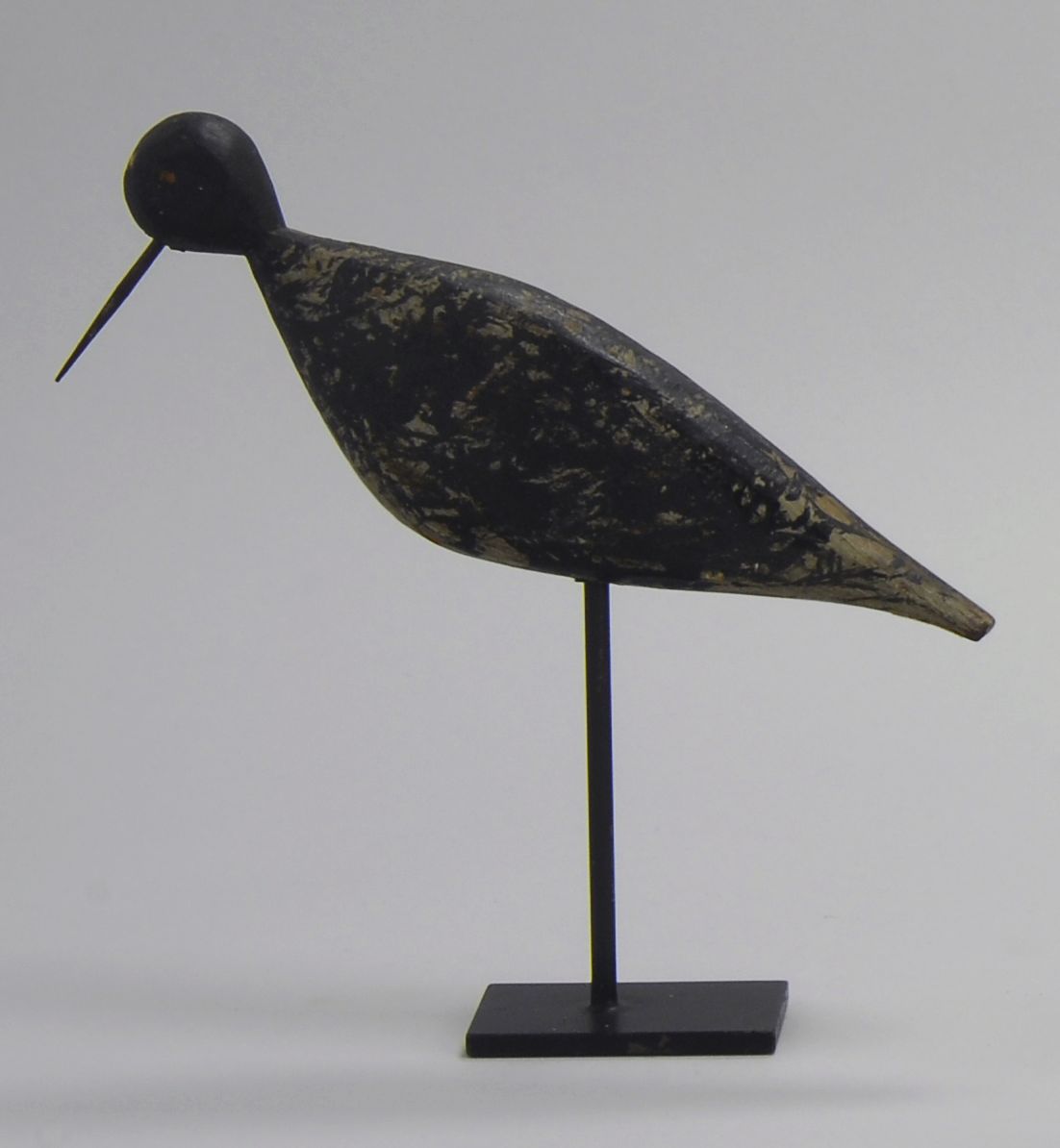 Appraisal: BLACK-BELLIED PLOVER From New Jersey Flat sided Replaced iron bill