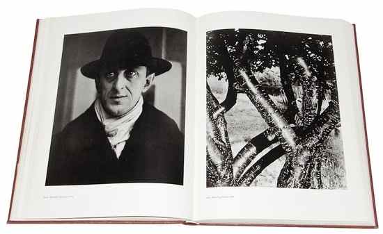 Appraisal: Alfred Stieglitz - Alfred Stieglitz An American Seer Random House