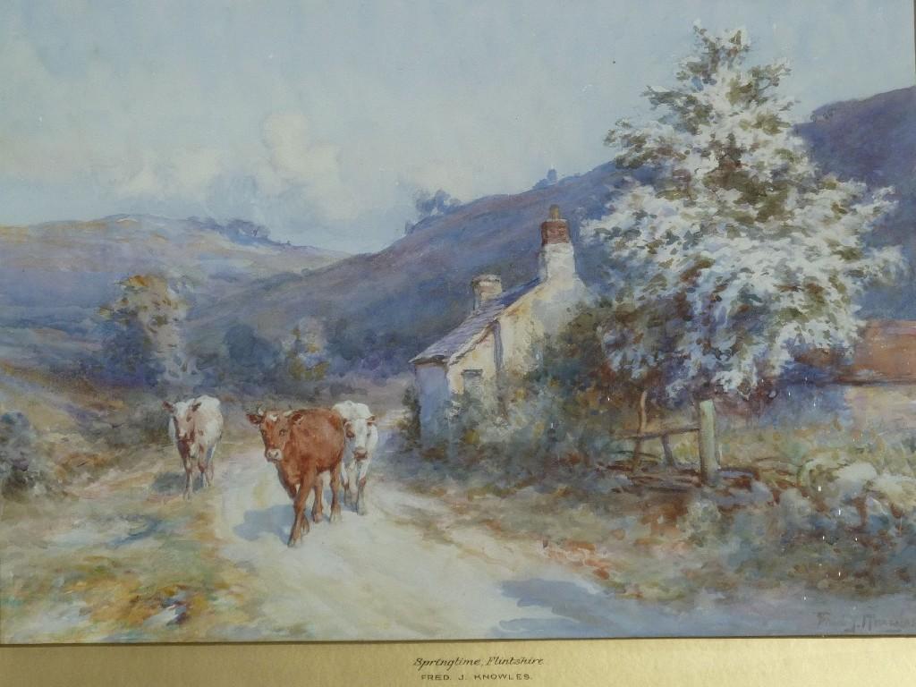 Appraisal: FRED J KNOWLES WATERCOLOUR DRAWING 'Springtime Flintshire' hilly landscape with