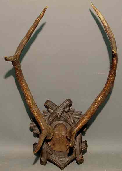 Appraisal: Large pair of stag horn antlers late th c mounted