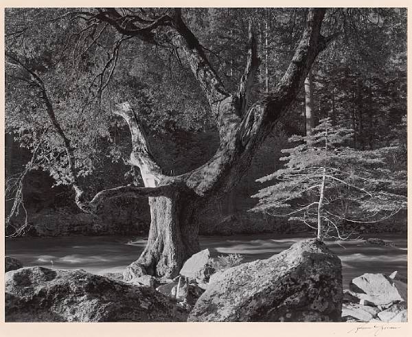 Appraisal: Ansel Adams American - Morning Merced River Canyon Yosemite National