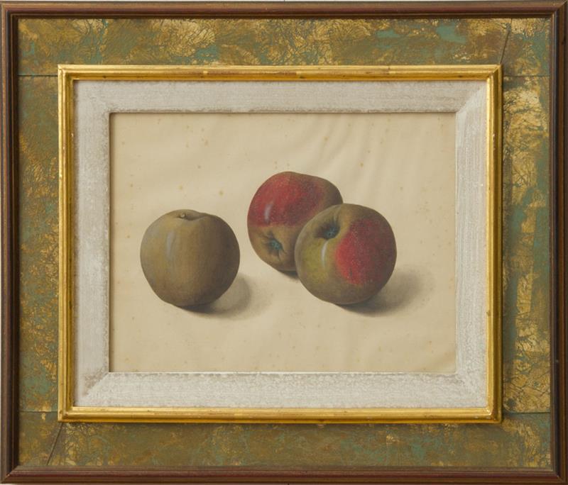 Appraisal: EUROPEAN SCHOOL APPLES AND FIGS Two watercolor with gouache on