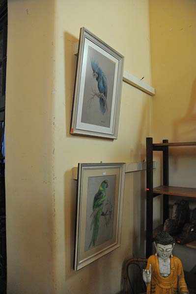 Appraisal: TWO FRAMED PARROT PASTELS