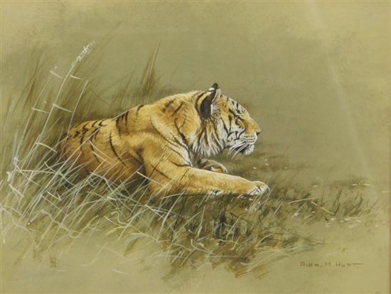 Appraisal: Alan M Hunt watercolour crouching tiger signed Saleroom notice Artist's