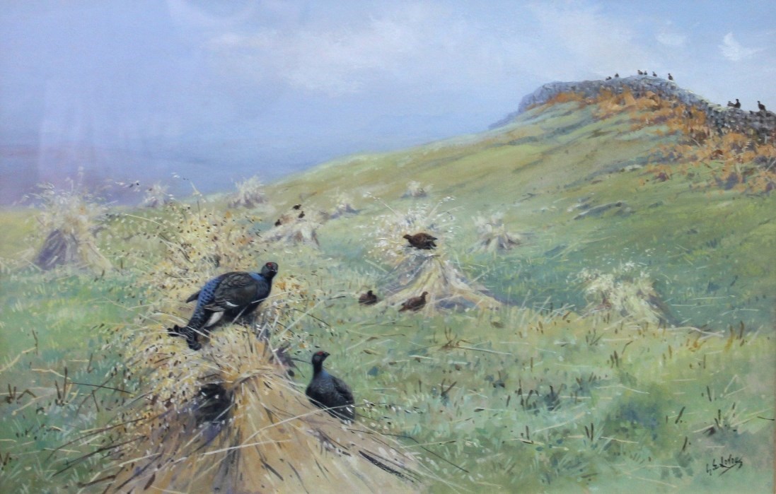 Appraisal: George Edward Lodge - Black Grouse watercolour and gouache signed