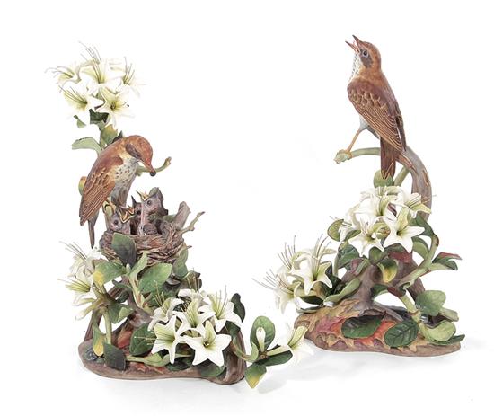 Appraisal: Pair Boehm Wood Thrushes no H W pcs Provenance Deaccessioned