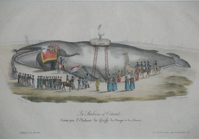 Appraisal: Two Hand Colored Whaling Prints the first Balaena hand colored