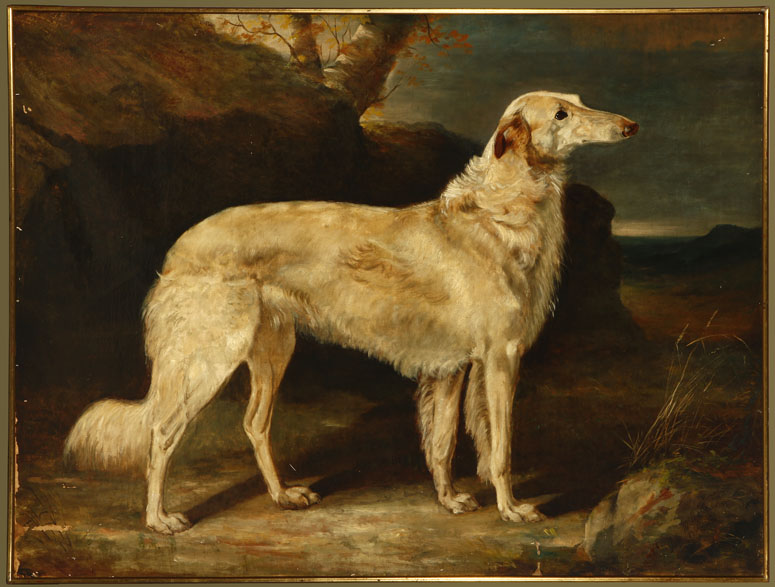 Appraisal: British John McLeod Borzoi Portrait oil British John McLeod Borzoi