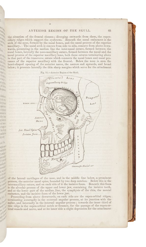 Appraisal: GRAY Henry - Anatomy Descriptive and Surgical Philadelphia Blanchard and