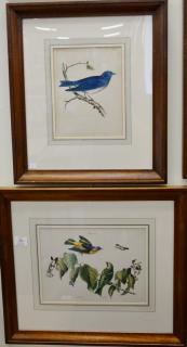 Appraisal: Five framed colored lithographs including a set of four USPRR