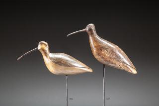 Appraisal: Running Curlew by Eli Doughty attr Running CurlewEli Doughty attr