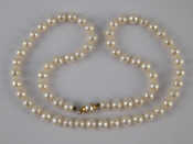 Appraisal: A cultured pearl necklace with a yellow metal tests carat