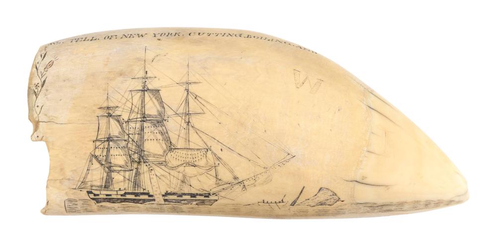 Appraisal: POLYCHROME SCRIMSHAW WHALE'S TOOTH BY EDWARD BURDETT CIRCA - LENGTH