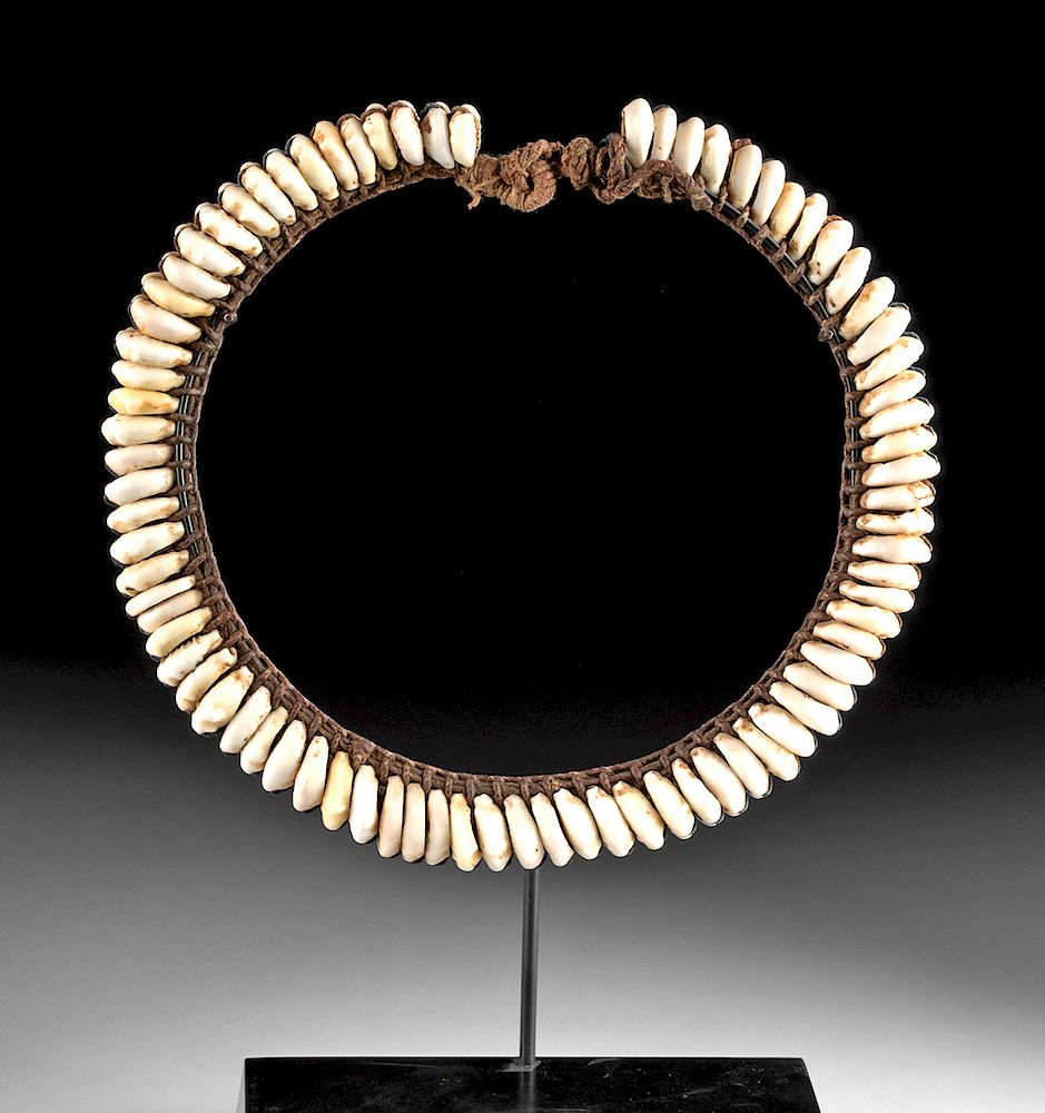 Appraisal: Early th C PNG Cowrie Shell Fiber Necklace Oceania Papua