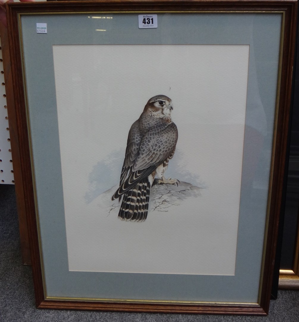 Appraisal: Richard Ward b Bird of Prey watercolour signed cm x