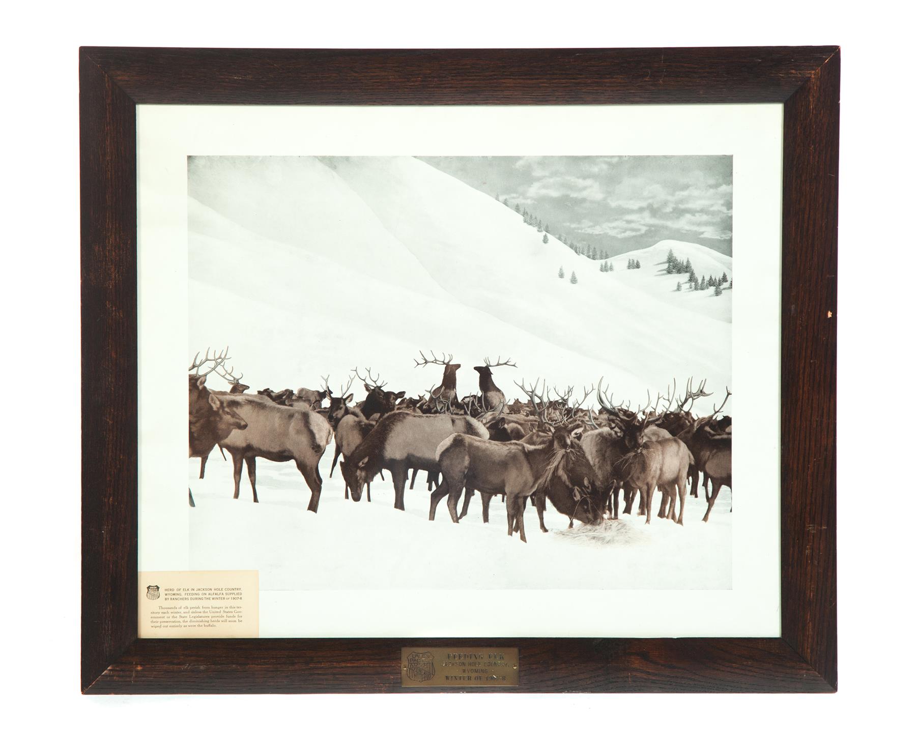 Appraisal: FRAMED UNION PACIFIC RAILROAD PRINT TITLED FEEDING ELK American mid