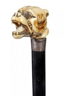 Appraisal: Walrus Tusk Bulldog Cane- Ca - A large carved bulldog