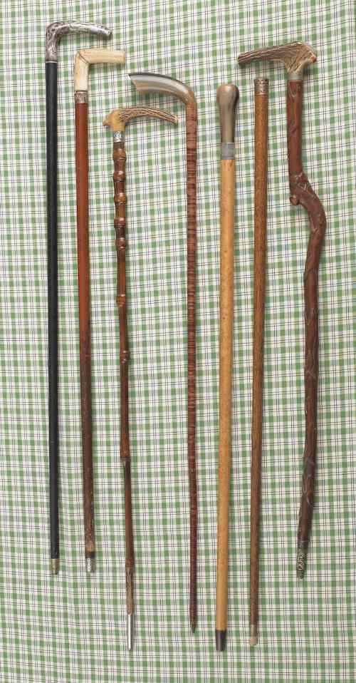 Appraisal: Seven miscellaneous walking sticks and canes th th c