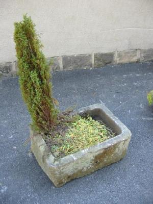 Appraisal: A YORKSHIRE STONE TROUGH of rounded oblong form the top