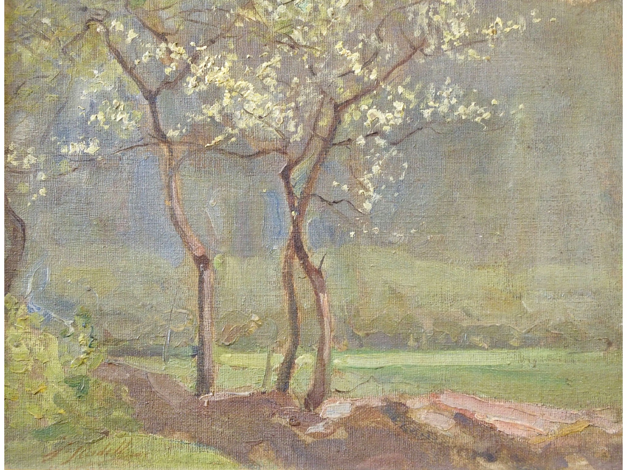 Appraisal: FLORENCE ST JOHN CADELL Scottish - TREES IN BLOSSOM AND