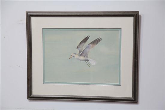 Appraisal: WATERCOLOR OF A BIRD BY CONRAD ROLAND AMERICAN - Watercolor