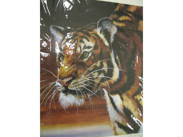 Appraisal: Tiger Print by T Gallo for Clemson of signed