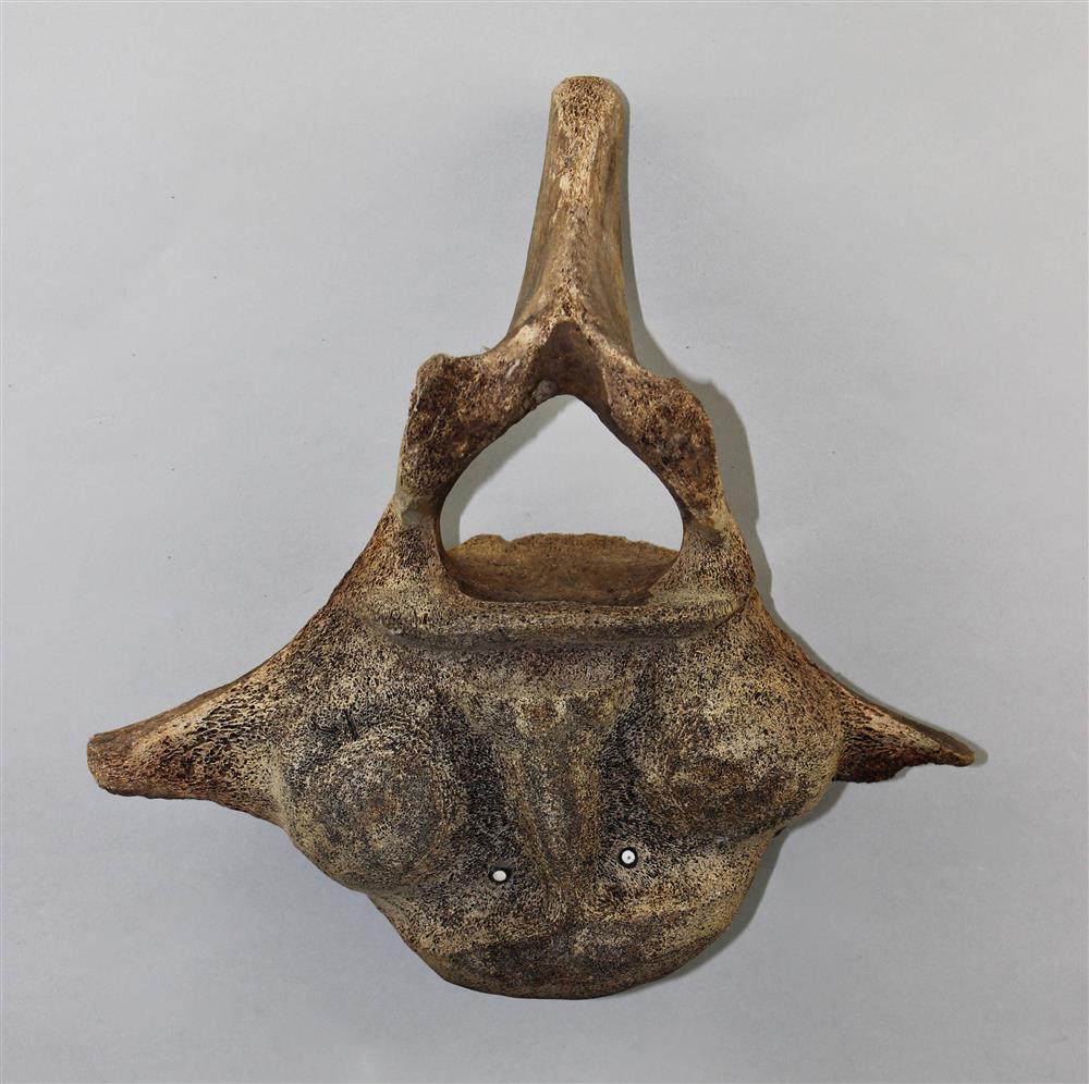 Appraisal: INUIT WHALE BONE SCULPTURE vertebra central human face inlaid eyes