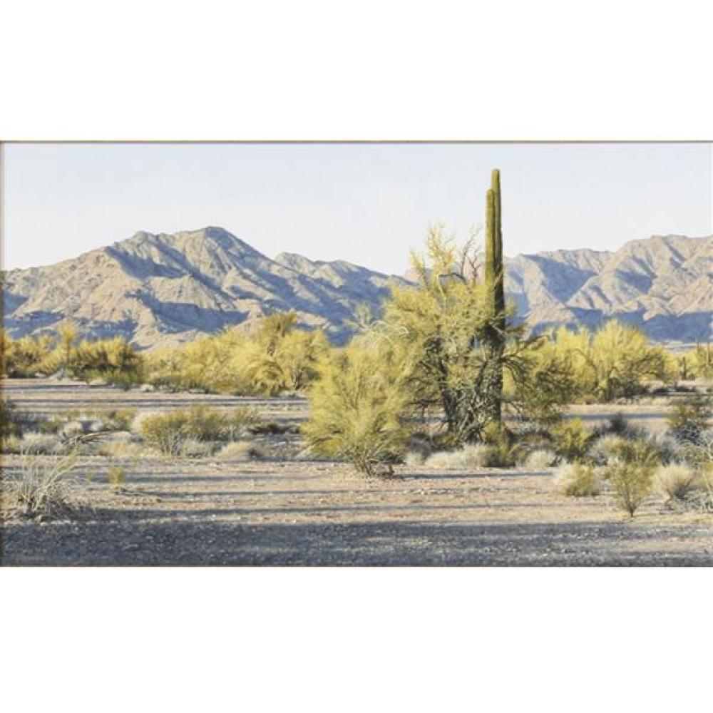 Appraisal: DENIS MILHOMME CALIFORNIA MASSACHUSETTS B SONORAN SHADOWS DESERT LANDSCAPE OIL