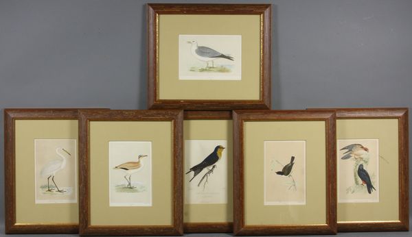 Appraisal: Group of six th Century bird prints overall size in