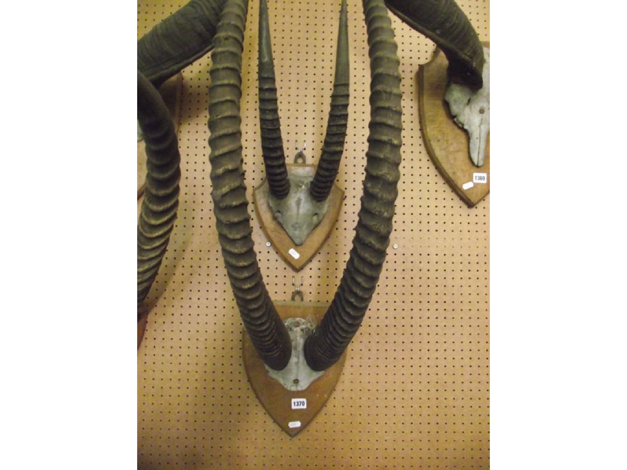 Appraisal: Two pairs of Impala horns mounted on shield shaped wall