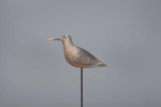 Appraisal: Red Knot John Dilley Red Knot John Dilley Quogue Long