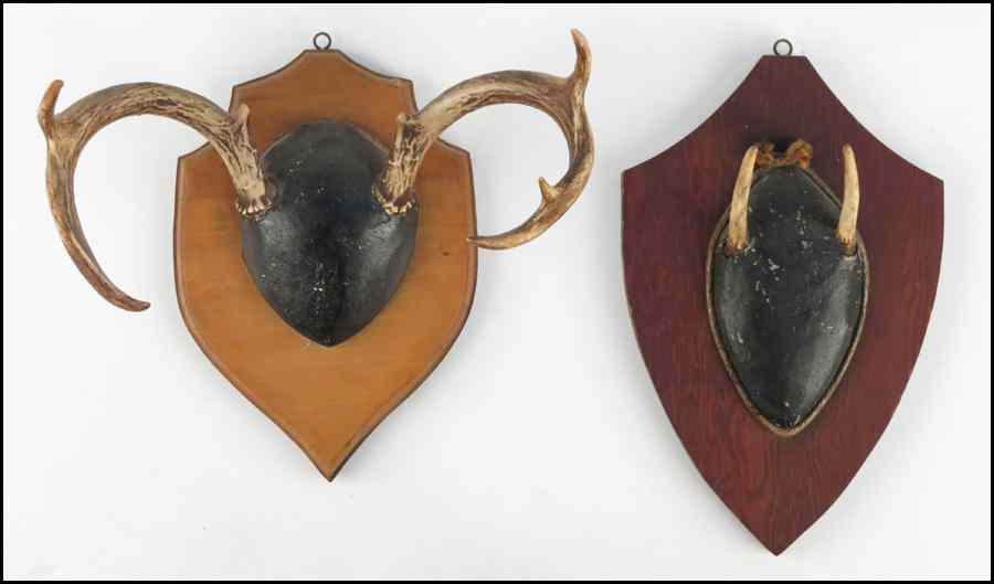 Appraisal: GROUP OF TWO MOUNTED ANTLERS H '' W '' D