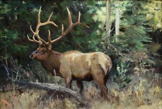 Appraisal: Bull Elk by Ken Carlson Ken Carlson - Bull Elk